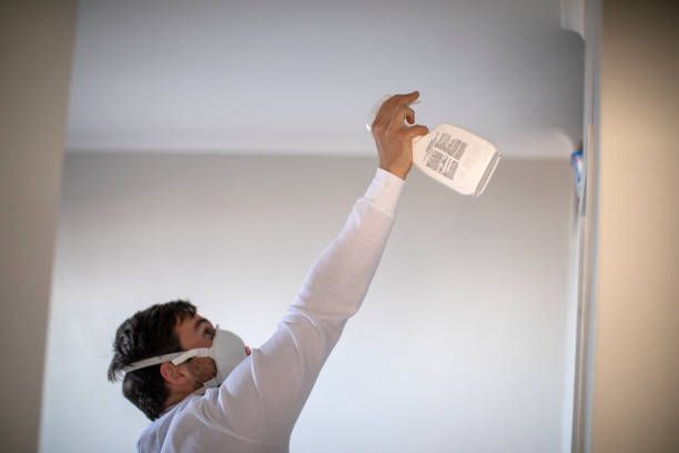 Best Industrial Mold Remediation in Belle, WV