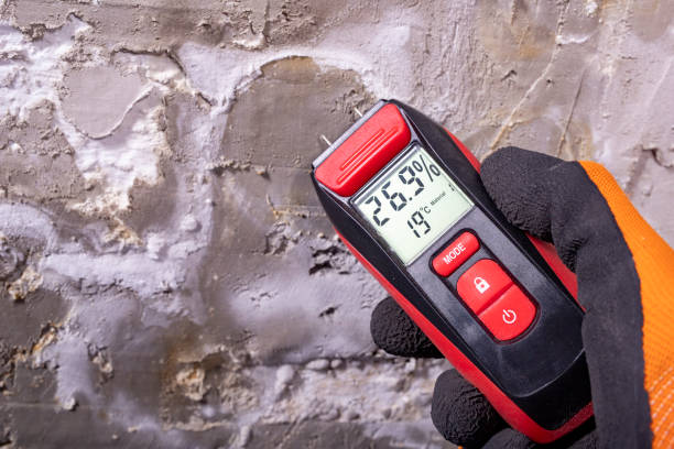 Best DIY Mold Remediation Support Services in Belle, WV