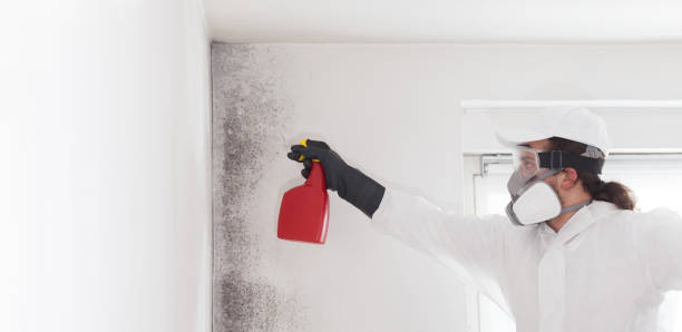 Belle, WV Mold Remediation Company